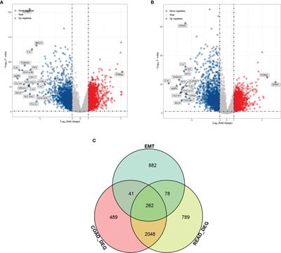 The Cell Cycle-Associated Protein CDKN2A May Promotes Colorectal Cancer Cell Metastasis by Inducing Epithelial-Mesenchymal Transition